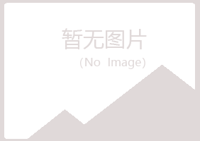 白银平川迷失水泥有限公司